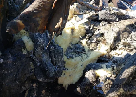 2020 Honda Ridgeline Rtl-E из США, поврежденный, VIN 5FPYK3F79LB004953